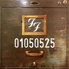 Skin & Bones von Foo Fighters (Download) 