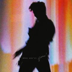 When You're Gone von Shawn Mendes (Download) 