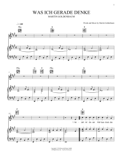 Was ich gerade denke von Martin Goldenbaum (Download) 