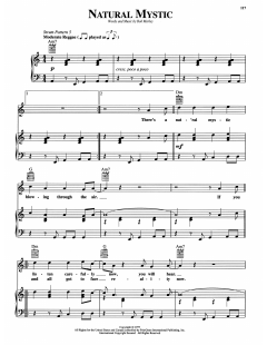 Natural Mystic von Bob Marley (Download) 
