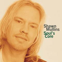 The Gulf Of Mexico von Shawn Mullins (Download) 