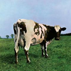 If von Pink Floyd (Download) 