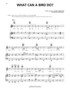 What Can A Bird Do? von Mike Himelstein (Download) 