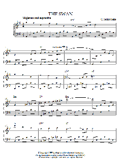 The Swan (Download) 