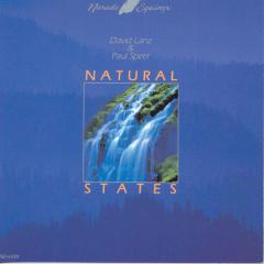 Rain Forest von David Lanz (Download) 