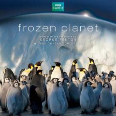 Frozen Planet, Ice Sculptures von George Fenton (Download) 