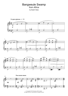 Bangweule Swamp von Sarah Class (Download) 