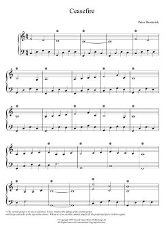 Ceasefire von Peter Broderick (Download) 