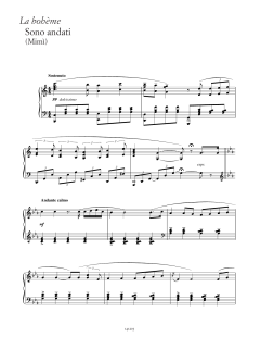 Sono andati? von Luigi Illica (Download) 