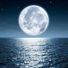 Dreamscape von Austin Farwell (Download) 