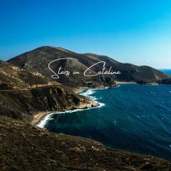 Stars In Catalina von Austin Farwell (Download) 