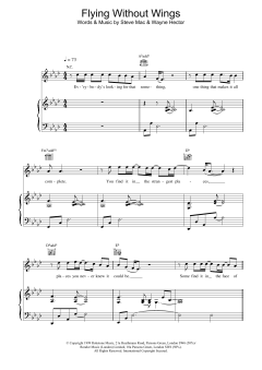 Flying Without Wings von Don McLean (Download) 