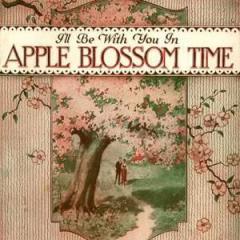 I'll Be With You In Apple Blossom Time von Neville Fleeson (Download) 