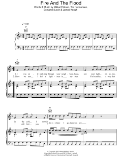 Fire And The Flood von Vance Joy (Download) 