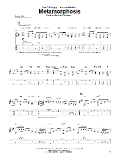 Metamorphosis von Phil Keaggy (Download) 