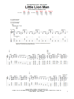 Little Lion Man von Mumford & Sons (Download) 