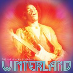 Are You Experienced? von Jimi Hendrix (Download) 