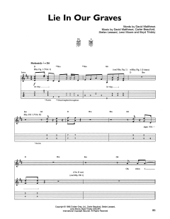 Lie In Our Graves von Dave Matthews Band (Download) 