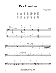 Cry Freedom von Dave Matthews Band (Download) 