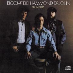 Sho 'Bout To Drive Me Wild von Michael Bloomfield (Download) 