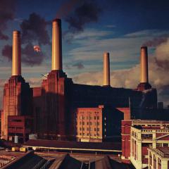 Pigs (Three Different Ones) von Pink Floyd (Download) 