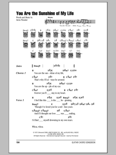 You Are The Sunshine Of My Life von Stevie Wonder (Download) 