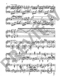 Ungarische Rhapsodie Nr. 2 cis-Moll von Franz Liszt 