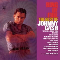 (There'll Be) Peace In The Valley von Johnny Cash (Download) 