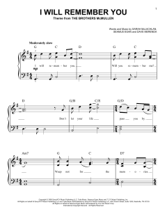 I Will Remember You von Sarah McLachlan (Download) 