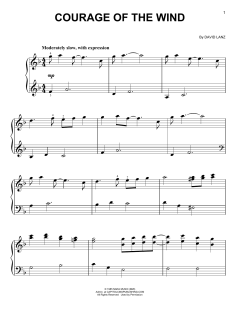 Courage Of The Wind von David Lanz (Download) 