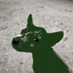 The Green Dog von Herbert Kingsley (Download) 