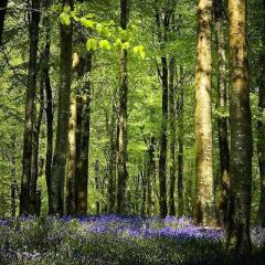 If It's Ever Spring Again von Christopher Le Fleming (Download) 