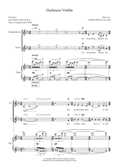 Darkness Visible (for counter-tenor, tenor and harp) von Tarik O'Regan (Download) 
