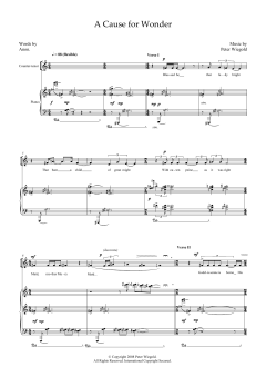 A Cause for Wonder (for counter-tenor and piano) von Peter Wiegold (Download) 