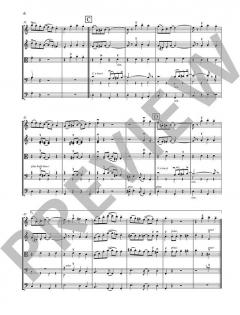 Ragtimes for String Ensemble von Leslie Searle 