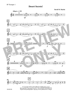 Desert Secrets! von David M. Martin (Download) 