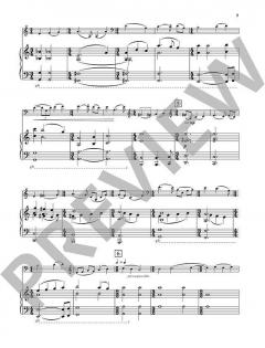 Concerto no. 1 von Pēteris Vasks 