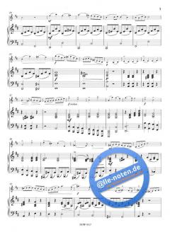 Konzert für Violine und Orchester, Op. 35 h-Moll im Alle Noten Shop kaufen