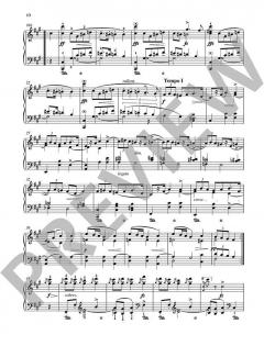 20 ausgewählte Mazurken von Frédéric Chopin 