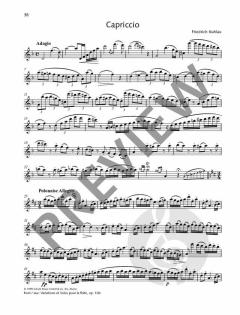 Best of Flute Solos  