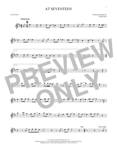 At Seventeen von Janis Ian (Download) 