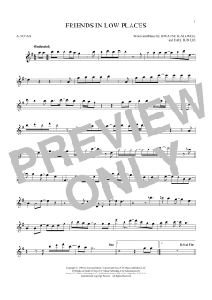 Friends In Low Places von Garth Brooks (Download) 
