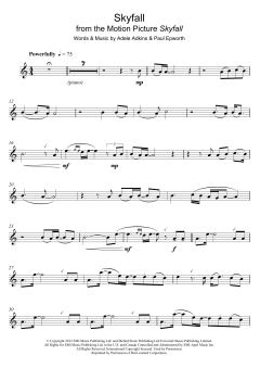 Skyfall von Adele (Download) 