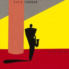 Rain On Christmas von David Sanborn (Download) 