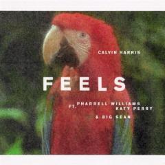 Feels (Download) 