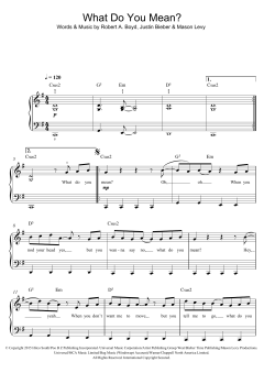 What Do You Mean? (Download) 