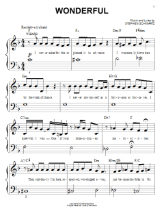 Wonderful von Stephen Schwartz (Download) 