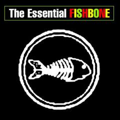 Bonin' In The Boneyard von David Kahne (Download) 
