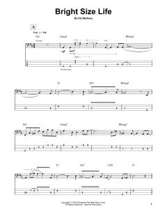 Bright Size Life von Pat Metheny (Download) 