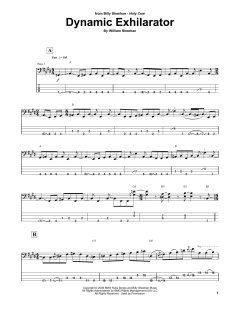Dynamic Exhilarator von Billy Sheehan (Download) 